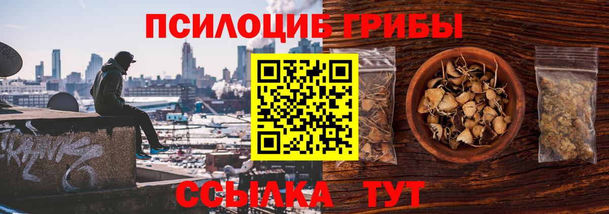 Красный Сулин  Псилоцибиновые грибы мухоморы  Вход с VPN  Галлюциногенные грибы Psilocybe 